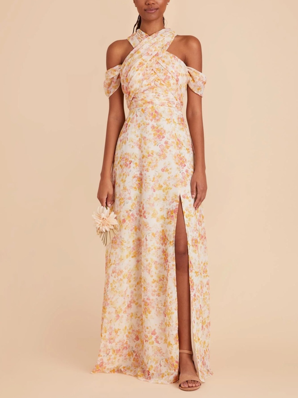 Birdy Grey Cara Dress in Pressed Floral